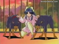 Pet lover anime girl gets fucked by her dogs